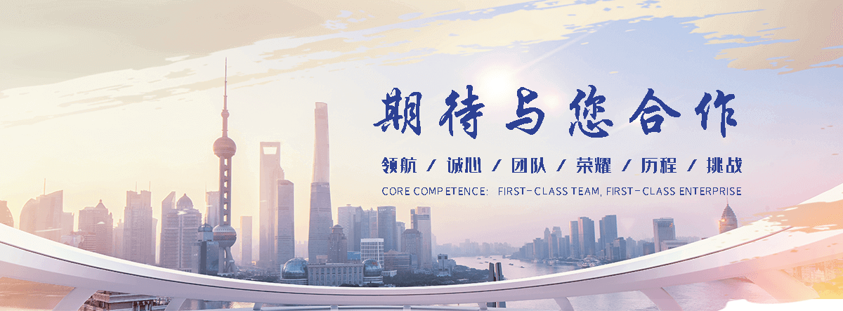 狐域标书(巴彦分公司)